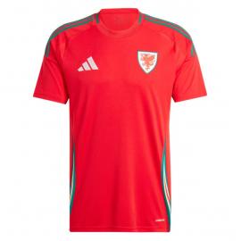 Camiseta GALES Primera Equipación 2024