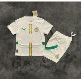 Camiseta Senegal Primera Equipación 2025 Niño