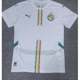 Camiseta Senegal Primera Equipación 2025